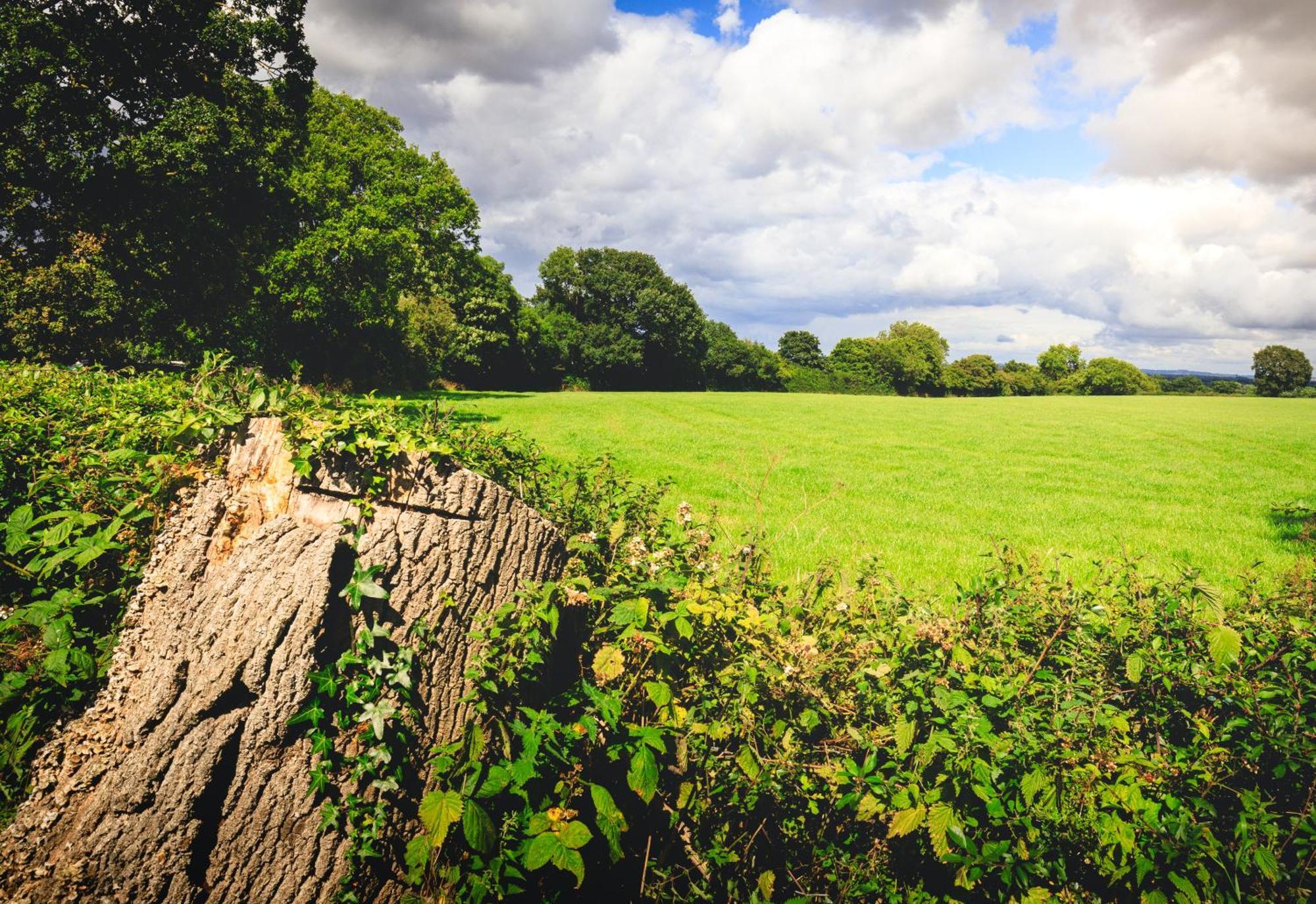 Oak Mead Villa Wrexham Bagian luar foto